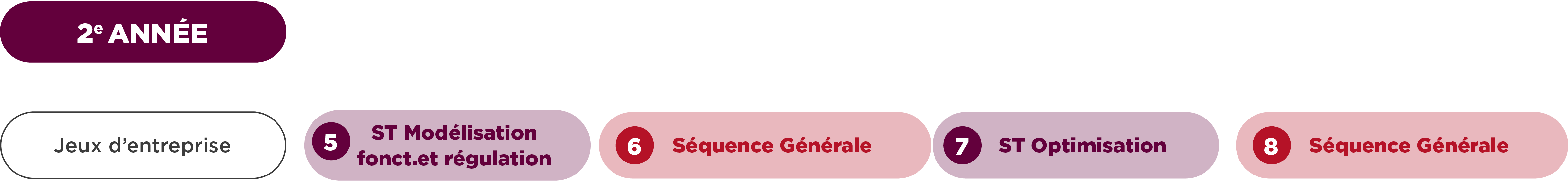 Cursus de deuxième année